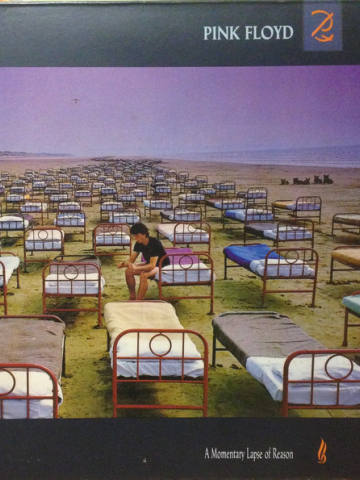 A Momentary Lapse Of Reason