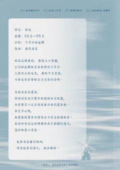 彼岸2 雪花绽放的那天风车转动-资料图