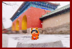 招财虎虎-资料图