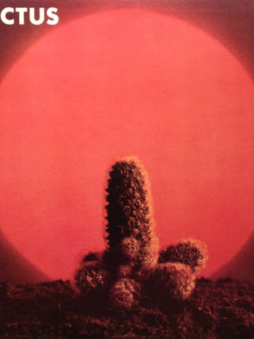 Cactus