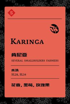 肯尼亚Karinga