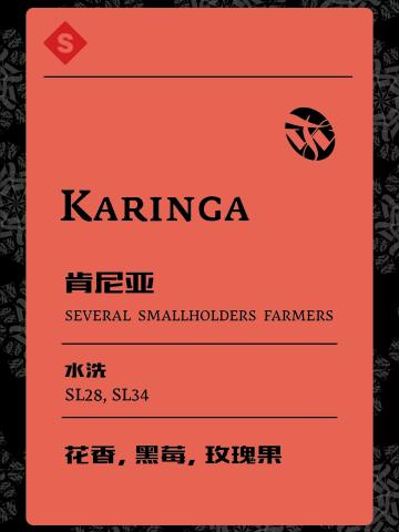 肯尼亚Karinga