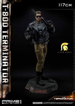 T-800 DX version-资料图