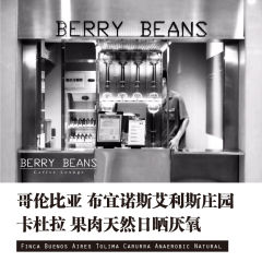 布宜诺斯艾利斯庄园