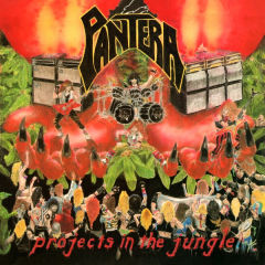 Projects In The Jungle