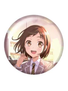 羽泽鸫(普)-Afterglow After School Event 夕景的一页吧唧