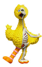 BIG BIRD