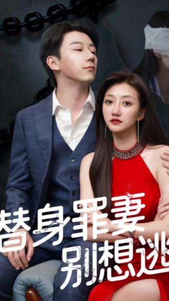 替身罪妻别想逃