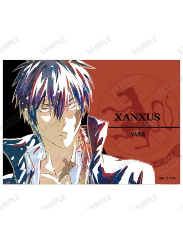 XANXUS(10年后)B-Ani-Art相卡第二弹