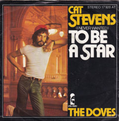 (I Never Wanted) To Be A Star