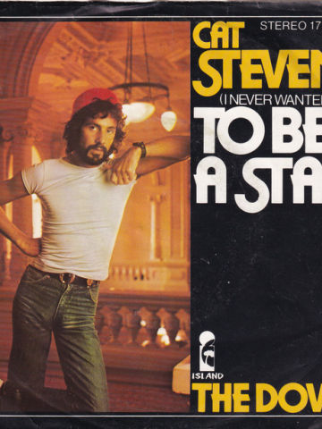 (I Never Wanted) To Be A Star