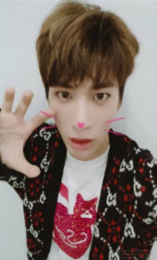 cat&dog ver.A