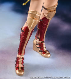 SHF 神奇女侠-资料图
