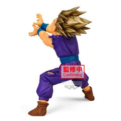 Blood of Saiyans 孙悟饭 SSJ2-资料图