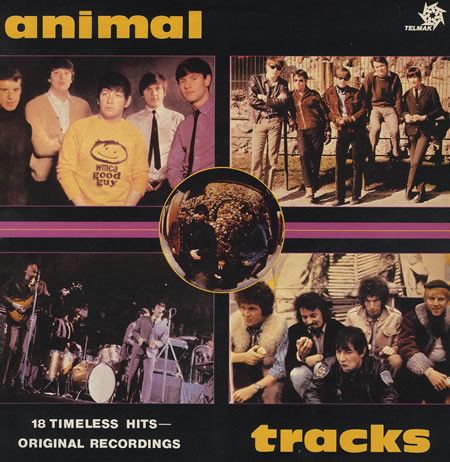 Animal Tracks
