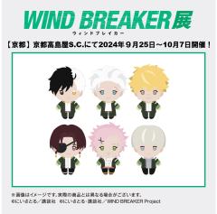 WIND BREAKER展迷你玩偶