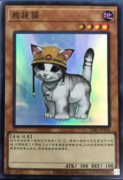 [CR]救援猫22RC-SC016