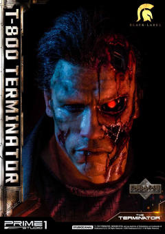 T-800 DX version-资料图