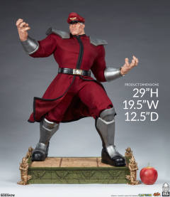 Mixed Media 维加 M. Bison-资料图