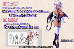 Shamsiel 限定色版-资料图