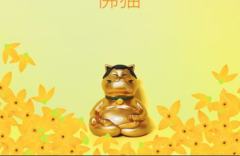 半跏趺坐 布达猫-坐姿