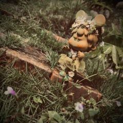 TREE小花 X  天天Tenten-资料图