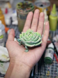 原色多肉龟-资料图