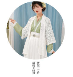 森林莓果-资料图