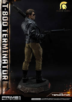 T-800 DX version-资料图