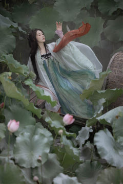 上芙蕖