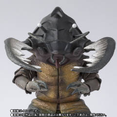 SHF 安东拉-资料图