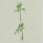 芰荷