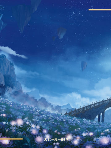 三千界影卡R-010