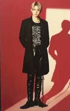 fate plus日巡随机卡1 ver.B