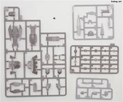 Plan-1055 堕天使-资料图