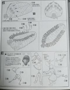 娜乌西卡 王虫-资料图