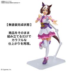 FRS 特别周-资料图