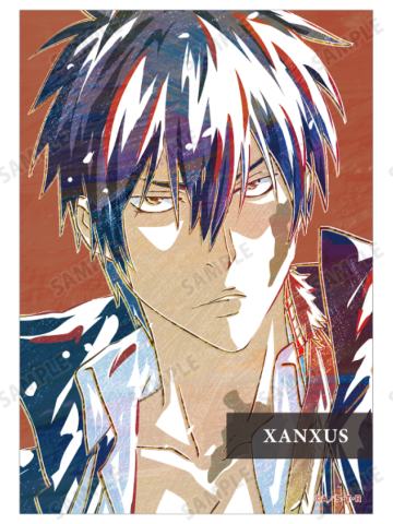 XANXUS(10年后)A-Ani-Art相卡第二弹