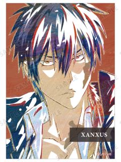 XANXUS(10年后)A-Ani-Art相卡第二弹