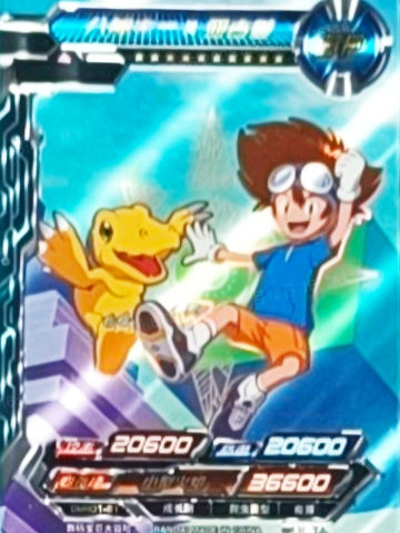 八神光&迪路兽