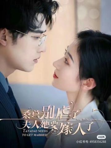 桑总别虐了夫人他要嫁人了