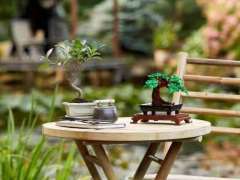 10281 乐高盆景-资料图