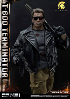 T-800 DX version-资料图