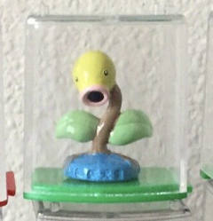 喇叭芽