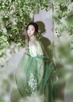 十二花神录·牡丹-资料图