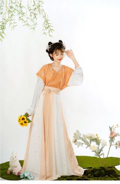 唐背子破裙套装-资料图