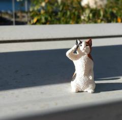敬礼猫咪扭蛋系列-资料图