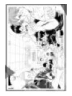 065-十周年拍立得