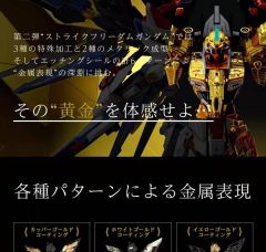 MGEX ZGMF-X20A 强袭自由高达-资料图