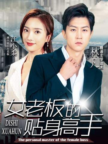 女老板的贴身高手